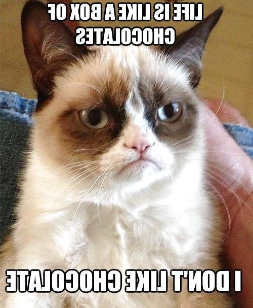 6P Some grumpy pussy and xmas jokes
