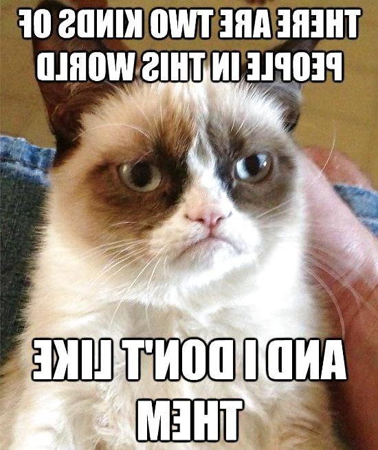 6P Some grumpy pussy and xmas jokes