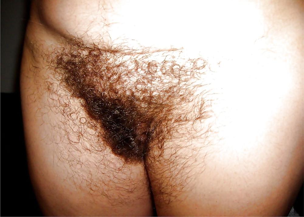 18P Very Hairy Pussy