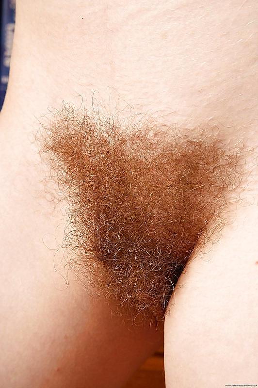 19P Hairy Bush #3