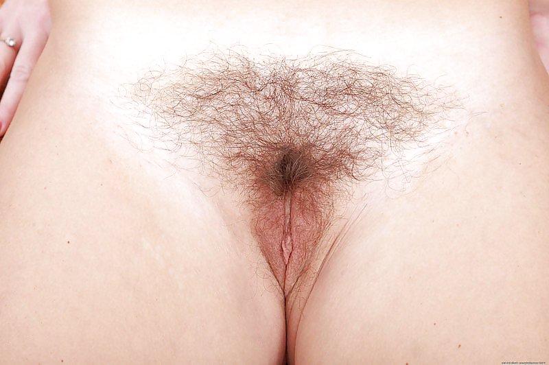 19P Hairy Bush #3