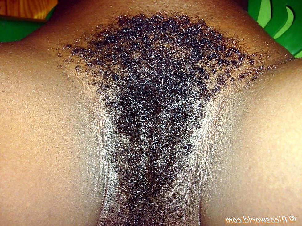 10P More Of That bush