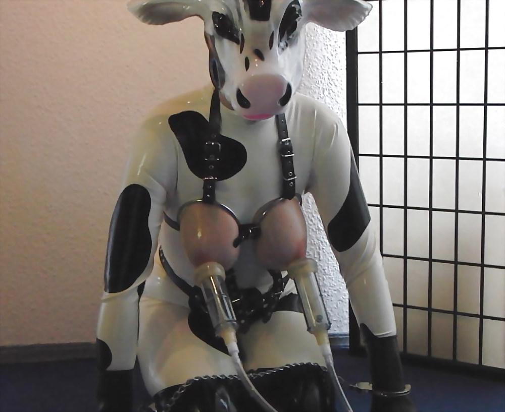 8P Cow Woman