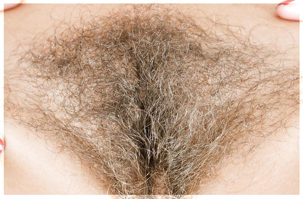 25P Only Hairy Pussy (Reloaded)