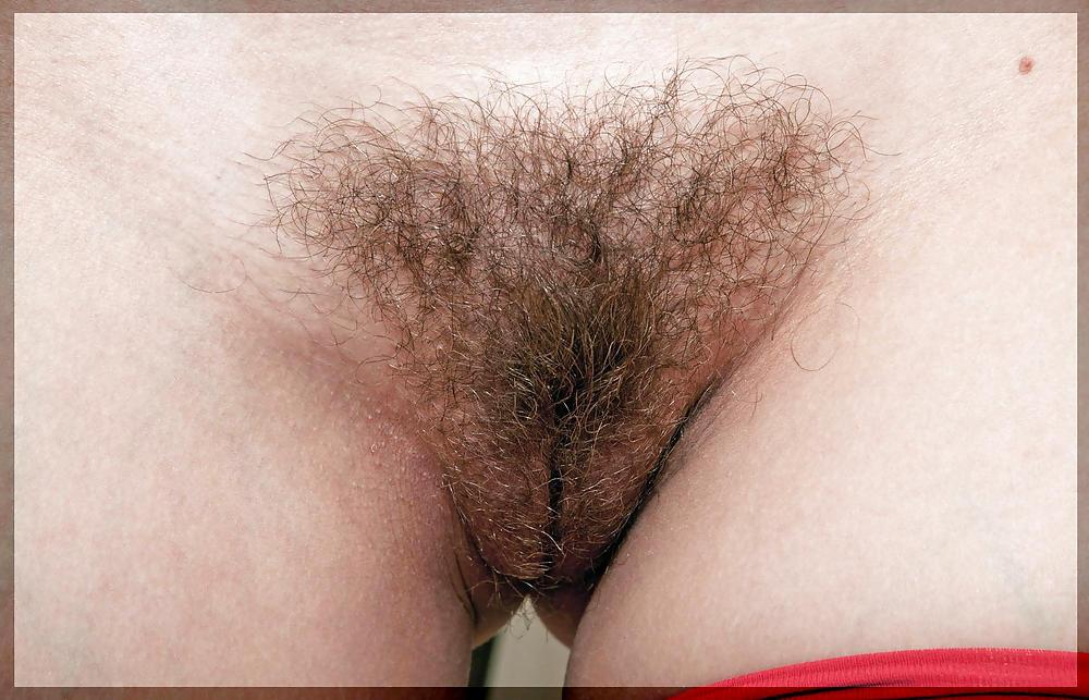 25P Only Hairy Pussy (Reloaded)