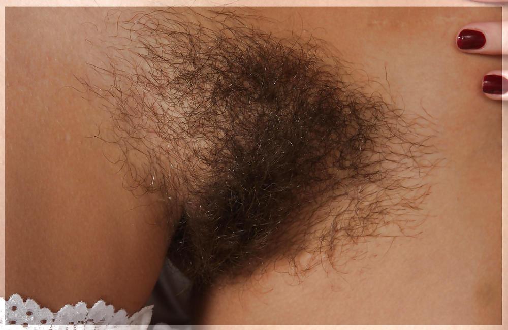 25P Only Hairy Pussy (Reloaded)