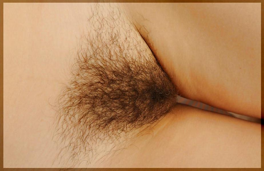 25P Only Hairy Pussy (Reloaded)