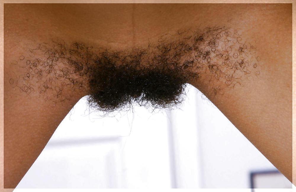 25P Only Hairy Pussy (Reloaded)