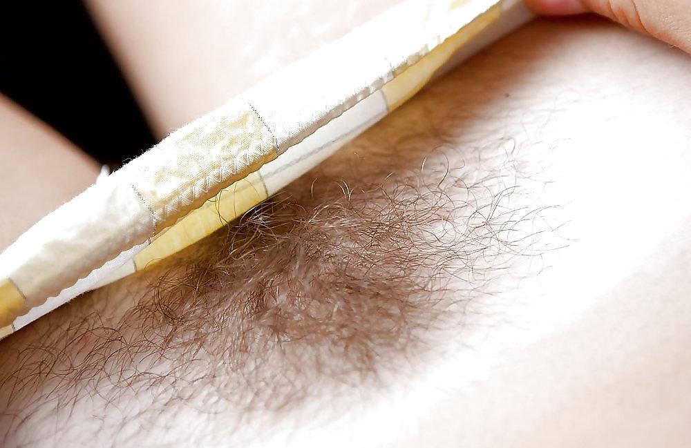 25P Hairy Panties 