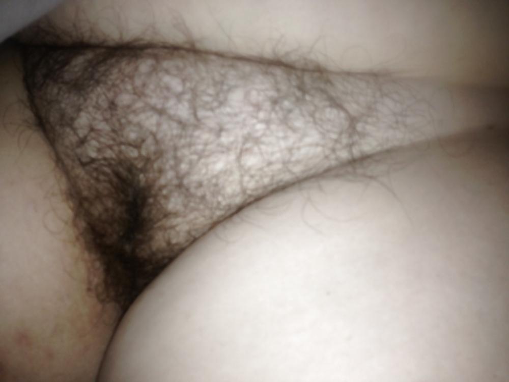 14P Wife Hairy Pussy
