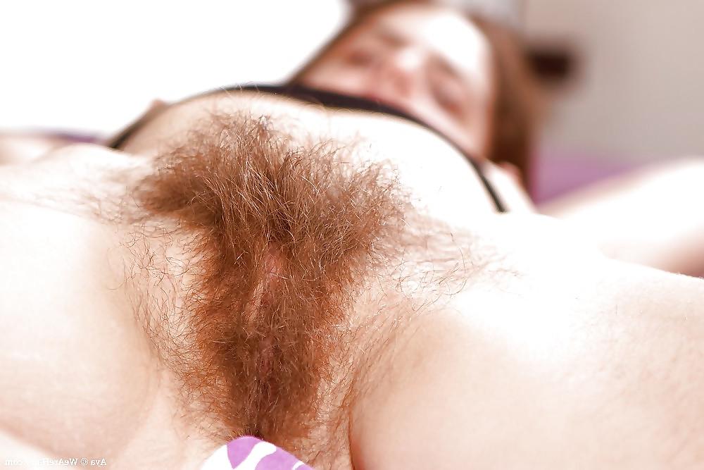 20P Hairy Bush #5
