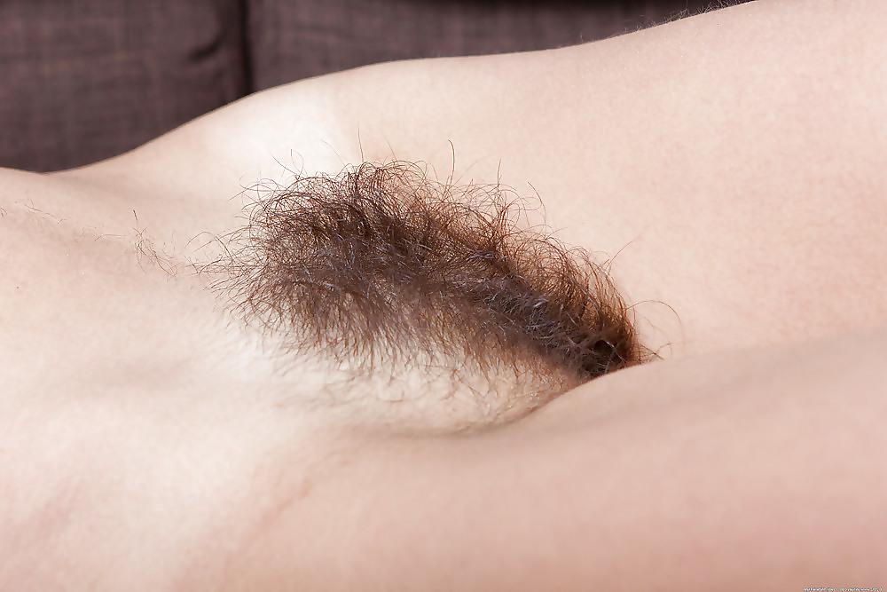 20P Hairy Bush #5