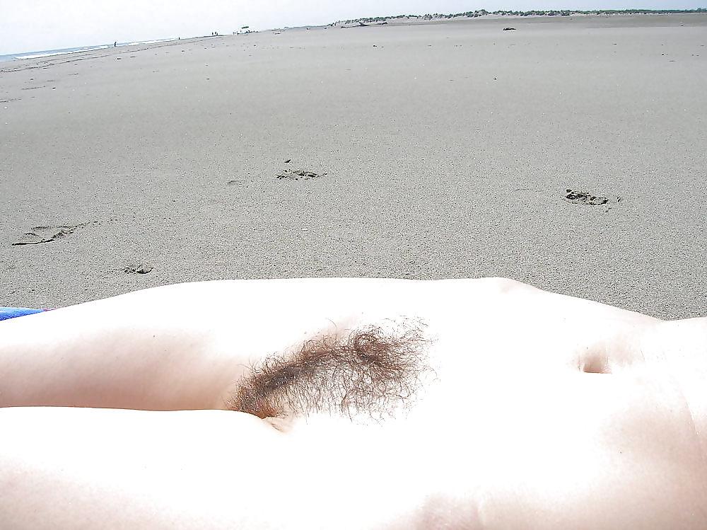 20P Hairy Bush #4