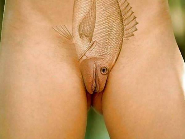 25P Pussy, Vaginas, Muschis, Moesen, Fotzen, Fickspalten ...