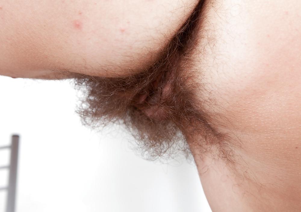 25P Hairy pussies for your delight