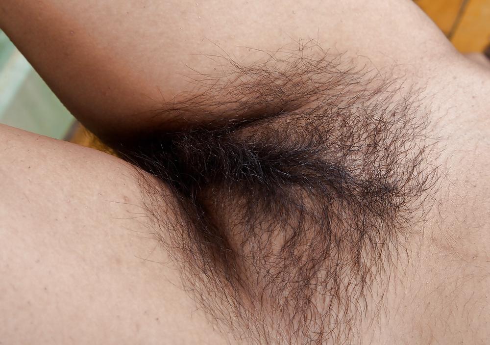25P Hairy pussies for your delight
