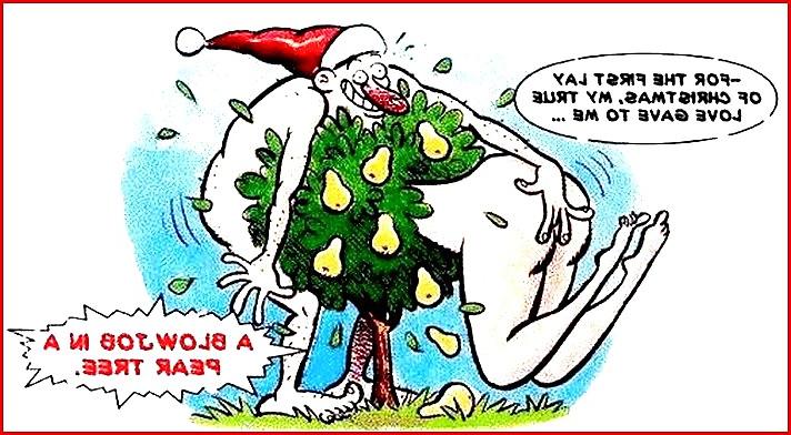 12P The 12 days of Xmas