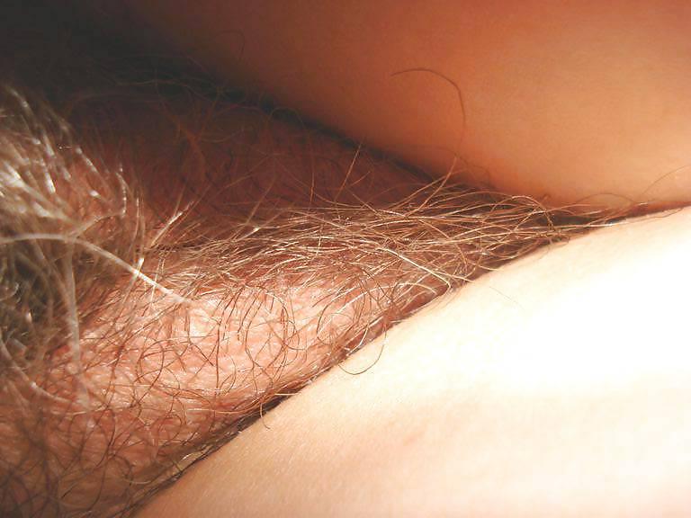 25P My wife's ass and hairy pussy (hammefall68)
