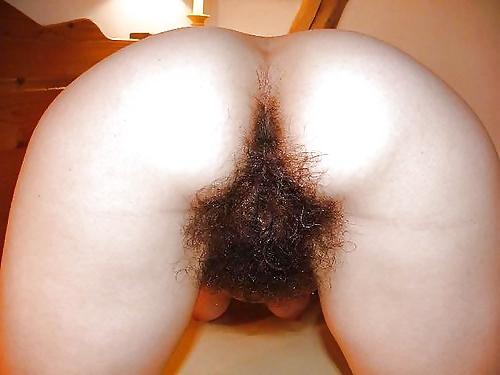 24P Hairy pussy