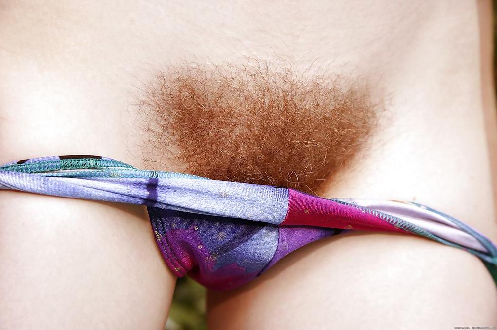 25P Real hairy pussy 3