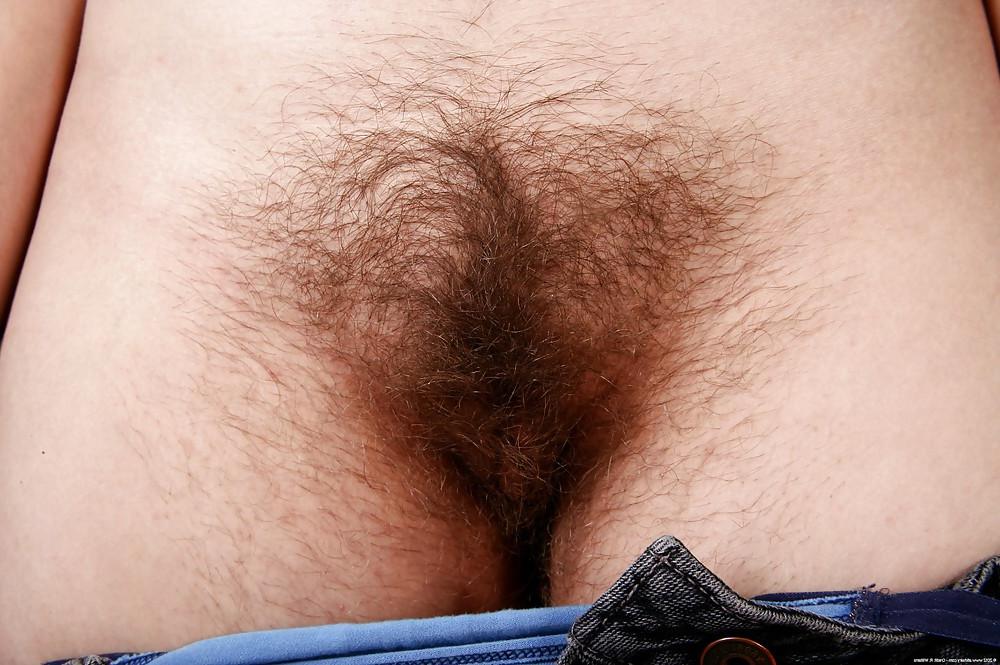 25P Real hairy pussy 3