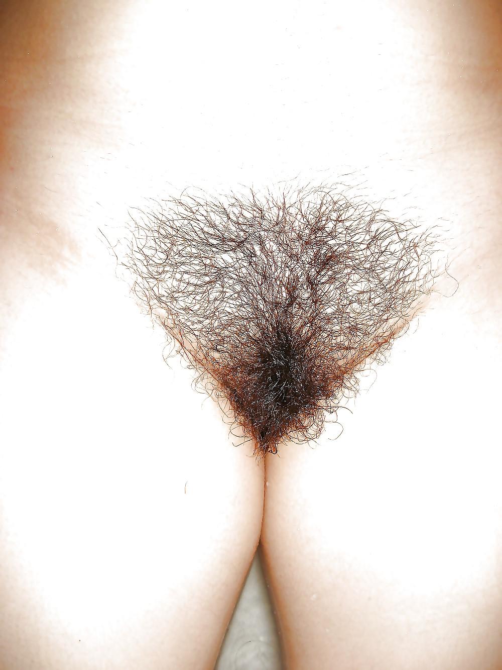 23P Hairy pussy