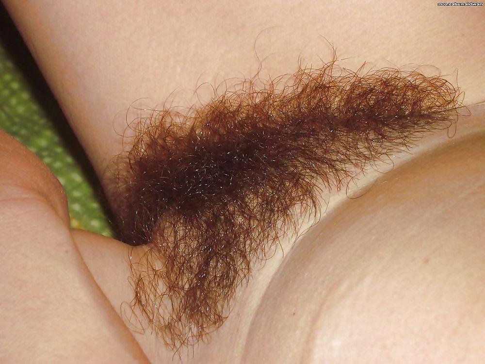 23P Hairy pussy
