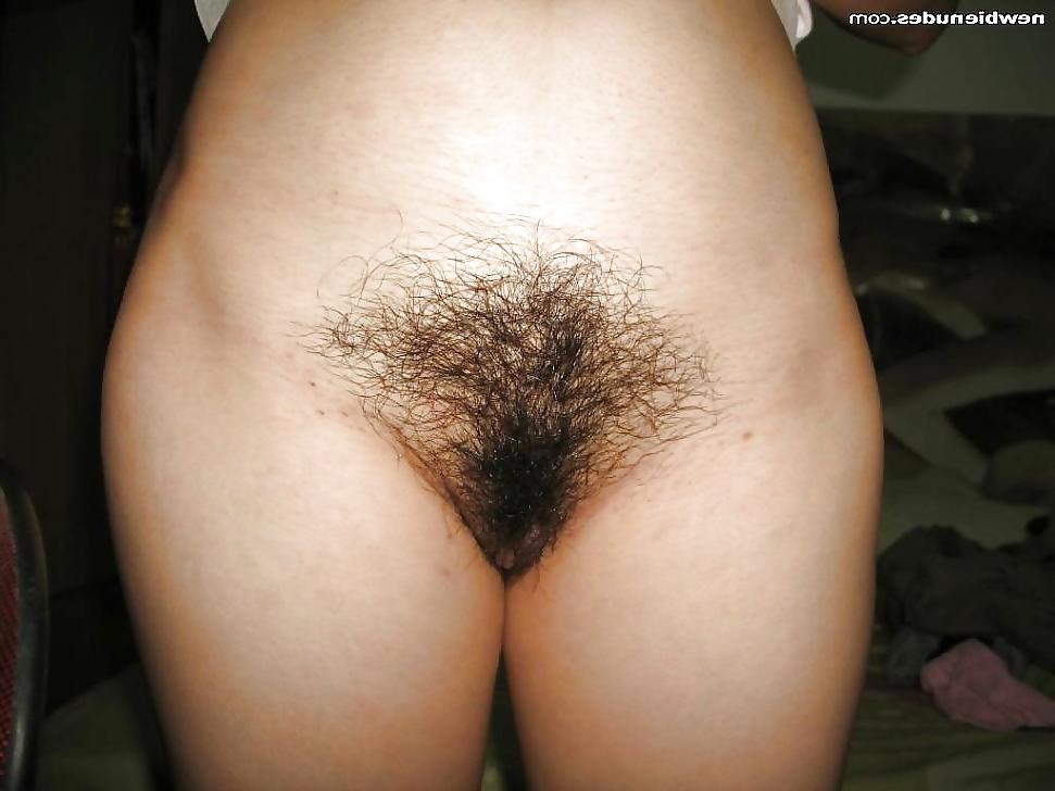 23P Hairy pussy