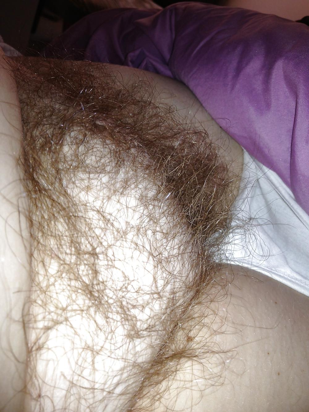 4P My girls hairy pussy.