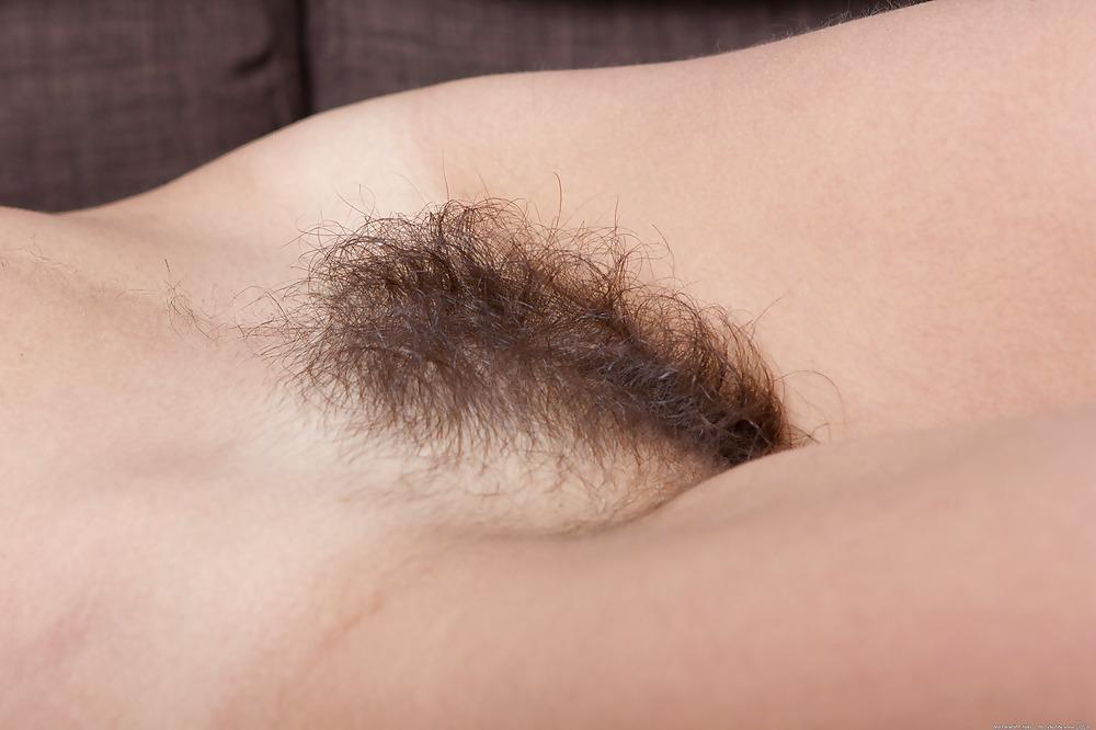 20P My Hairy Pussy Collection Pics 01