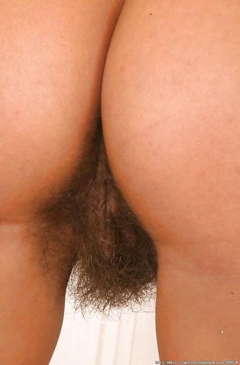 20P More bush