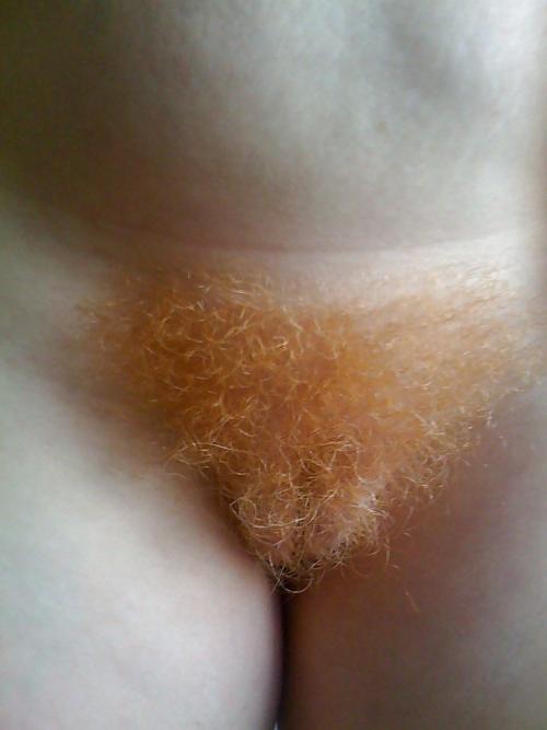 20P More bush