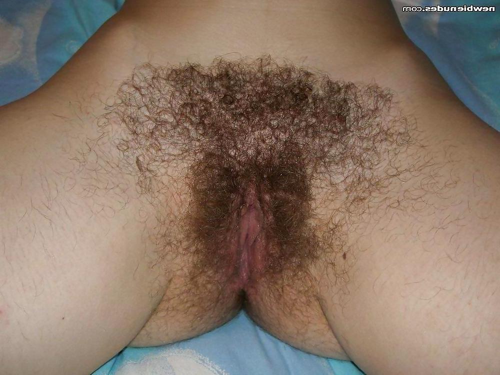 23P Assorted Hairy Pussy Amateurs