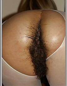 25P Beautiful hairy pussy 