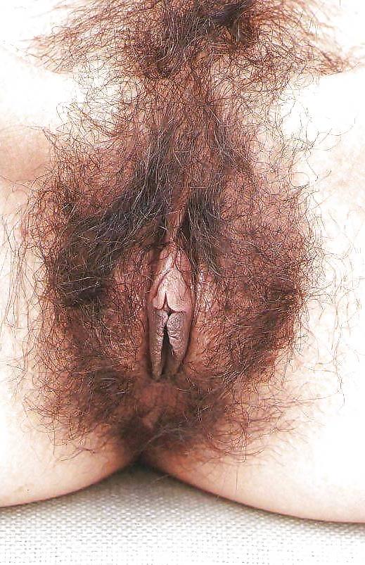 24P Hairy pussy 5