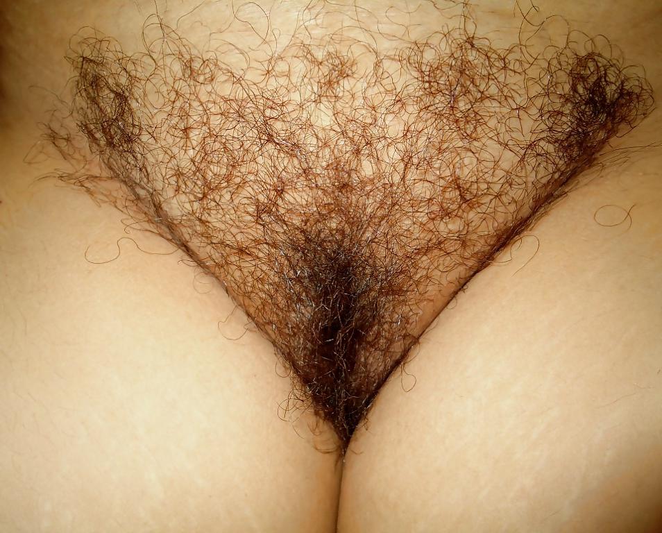 11P My hairy pussy,shave and fuckhard 1