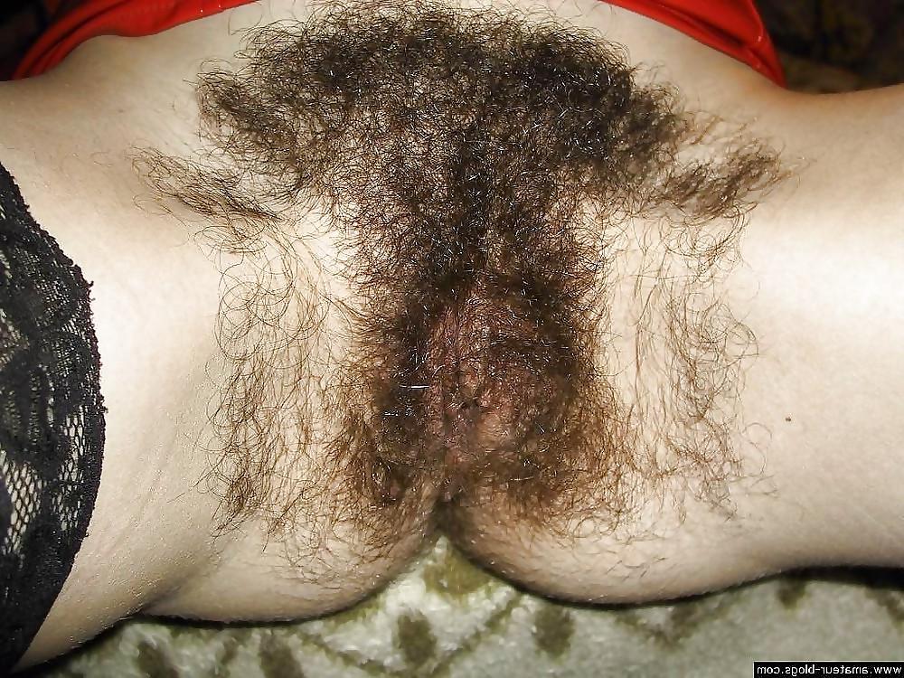 8P Very hairy, peludas