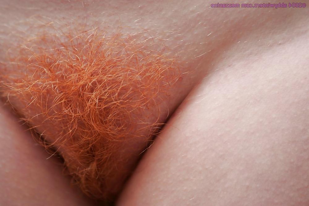 25P More Hairy Red Pussy