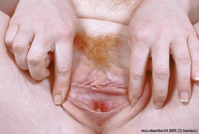 25P More Hairy Red Pussy