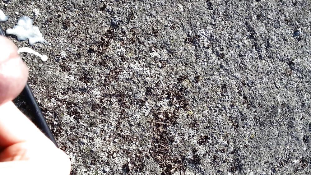 18P Fast Risky Cumshot At The Sunny Beach!