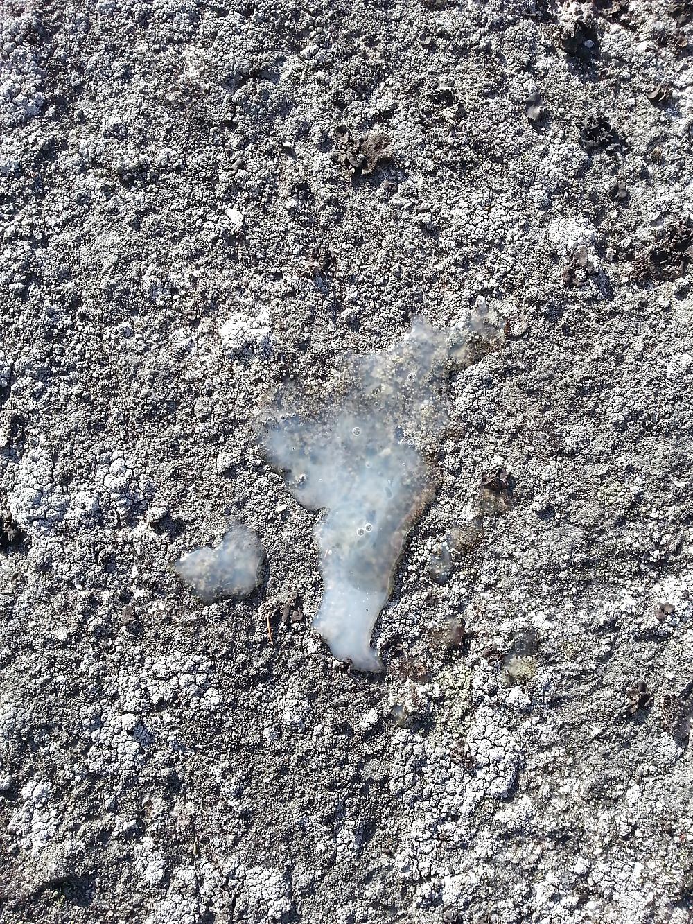 18P Fast Risky Cumshot At The Sunny Beach!