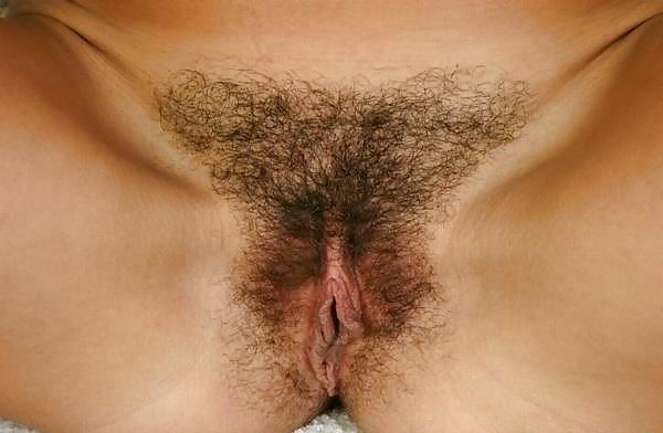 10P Hairy pussy 12