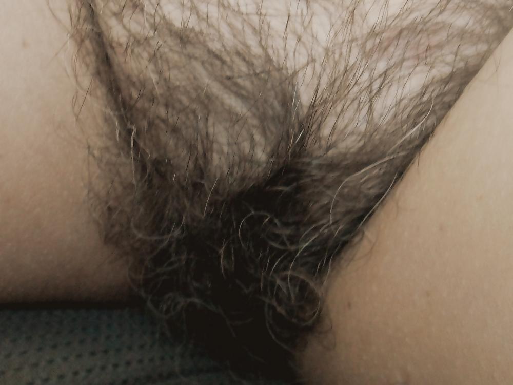 5P My Wife's Mature Hairy Pussy