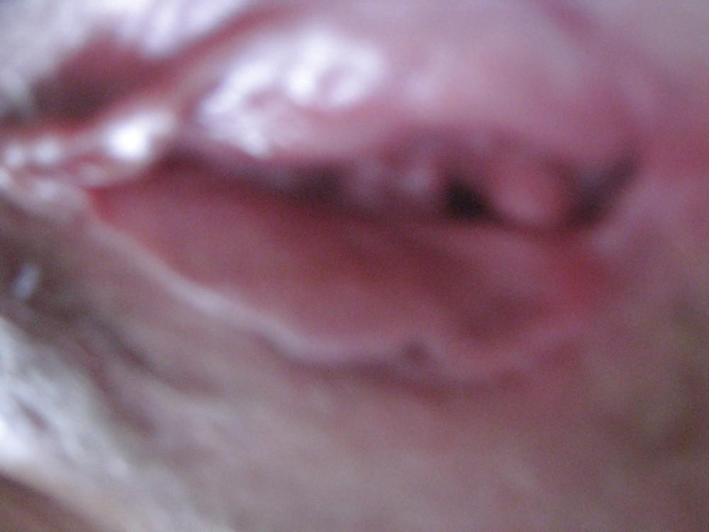 8P Old slut suck my dick