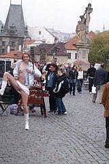25P Upskirts Without Panties - 2
