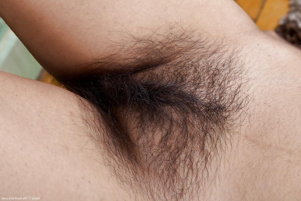 25P Hairy Gallery VII