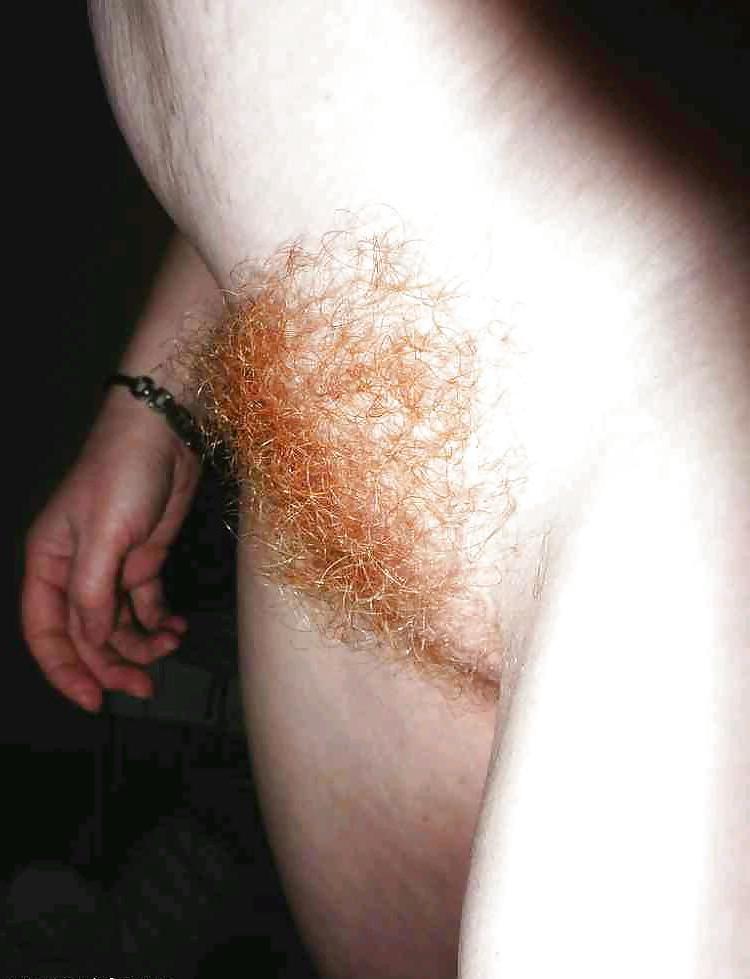 15P When bush roamed the Earth III Mostly Redheads