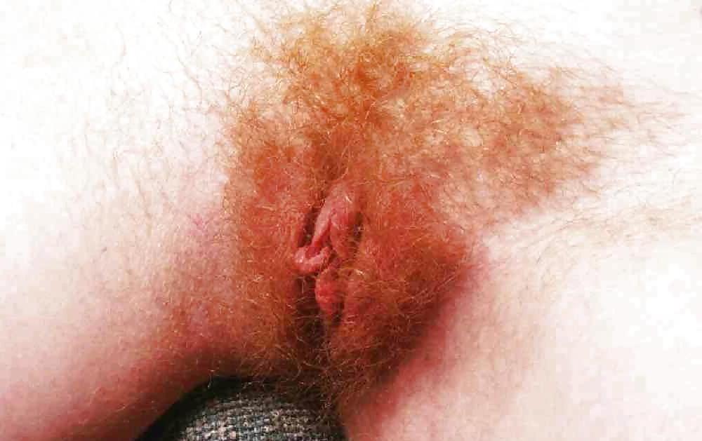 15P When bush roamed the Earth III Mostly Redheads