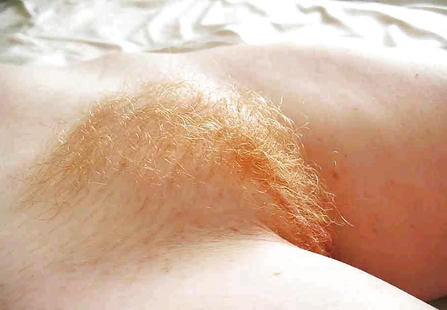15P When bush roamed the Earth III Mostly Redheads