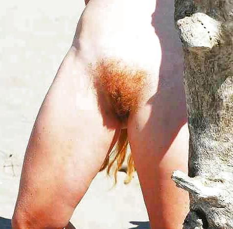 15P When bush roamed the Earth III Mostly Redheads